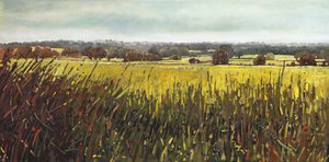 Hacia Riseley, 2012 de Helen White